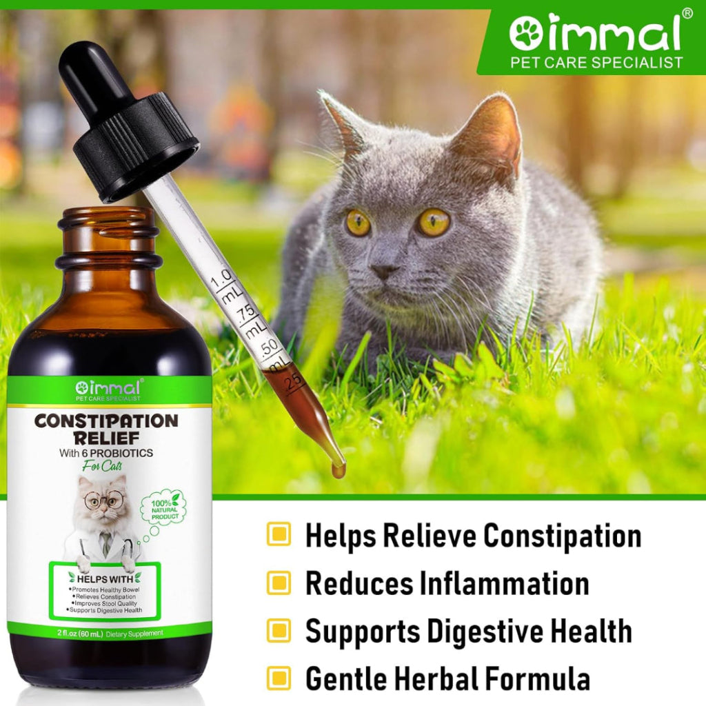 Cat Constipation Treatment