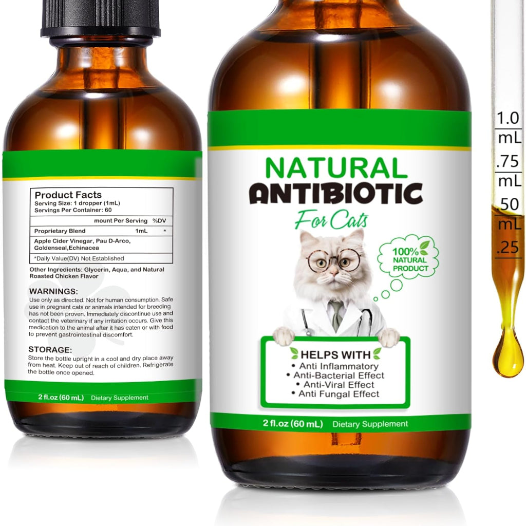 Cat Antibiotics for Infections