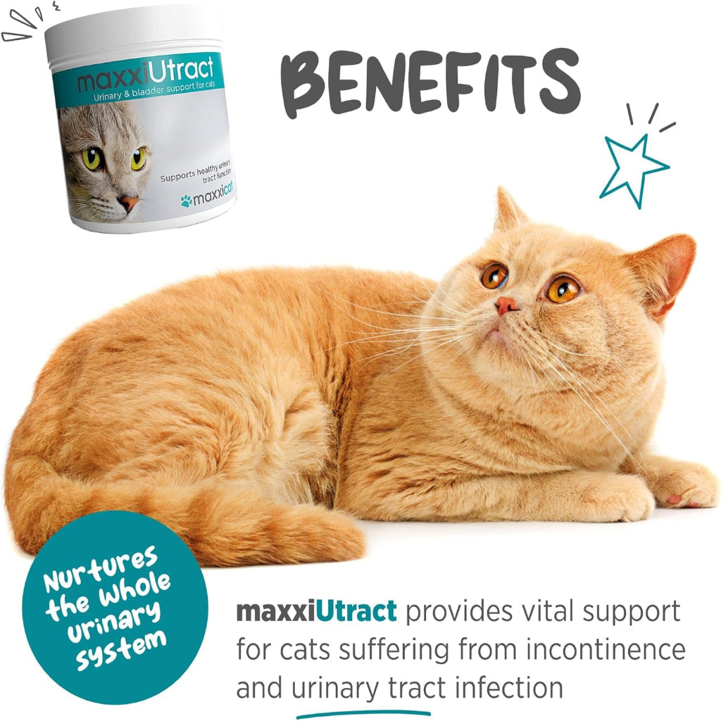 Urinary and Bladder Supplement for Cats